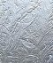 polar