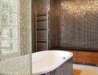 Glass partition for showers