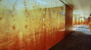 Evasafe laminated glass for partitions in an office space