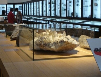 Museum display cases